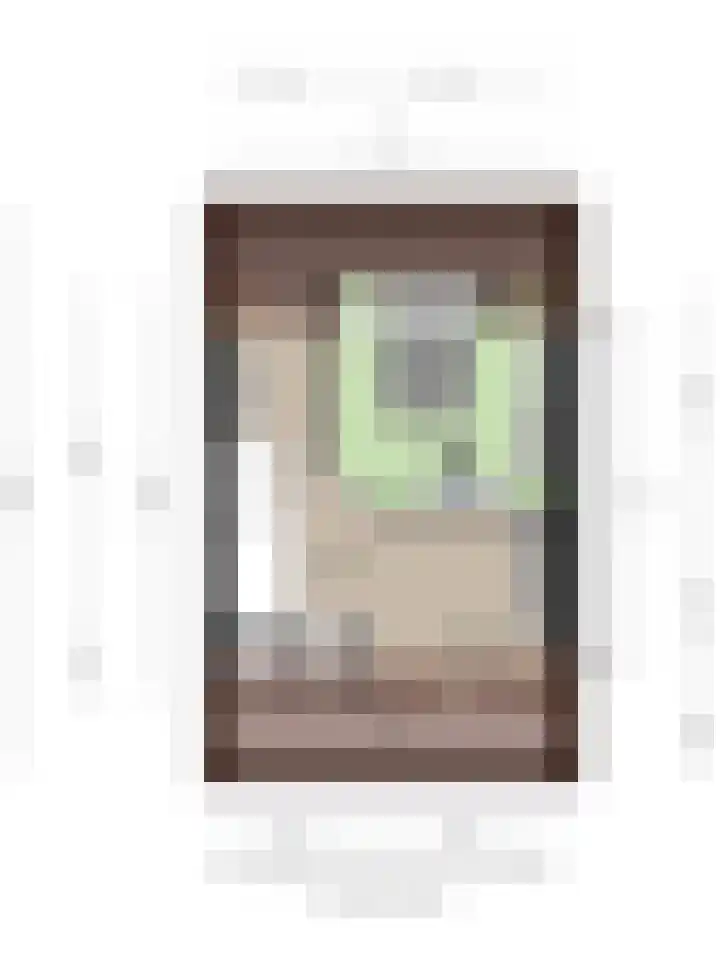 Sterhyacint 13 Twello thumbnail 36