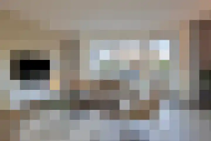 Sterhyacint 13 Twello thumbnail 4