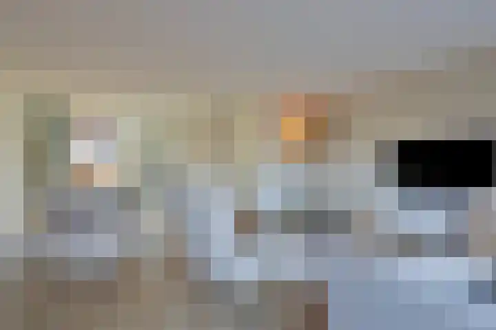 Sterhyacint 13 Twello thumbnail 5