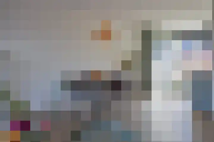 Sterhyacint 13 Twello thumbnail 6