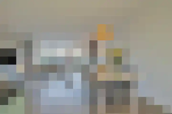 Sterhyacint 13 Twello thumbnail 7