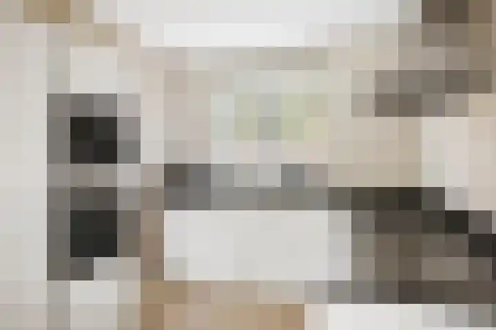 Sterhyacint 25 Twello thumbnail 10
