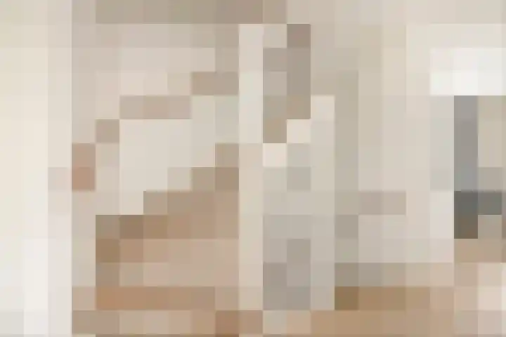 Sterhyacint 25 Twello thumbnail 13