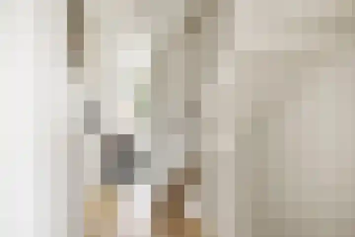Sterhyacint 25 Twello thumbnail 14