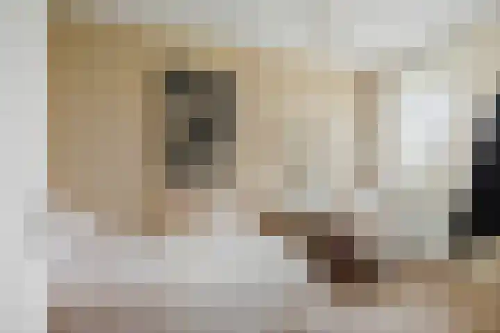 Sterhyacint 25 Twello thumbnail 17
