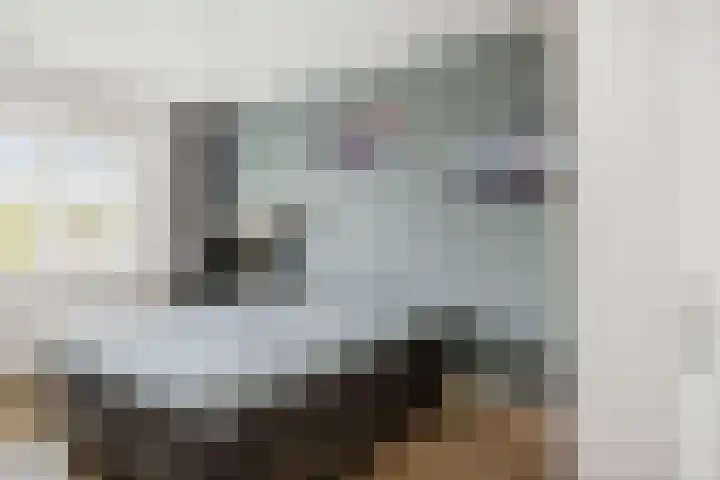 Sterhyacint 25 Twello thumbnail 18