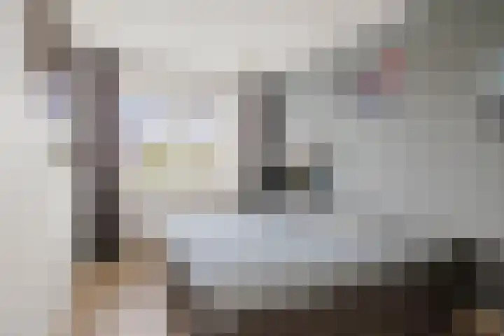 Sterhyacint 25 Twello thumbnail 19