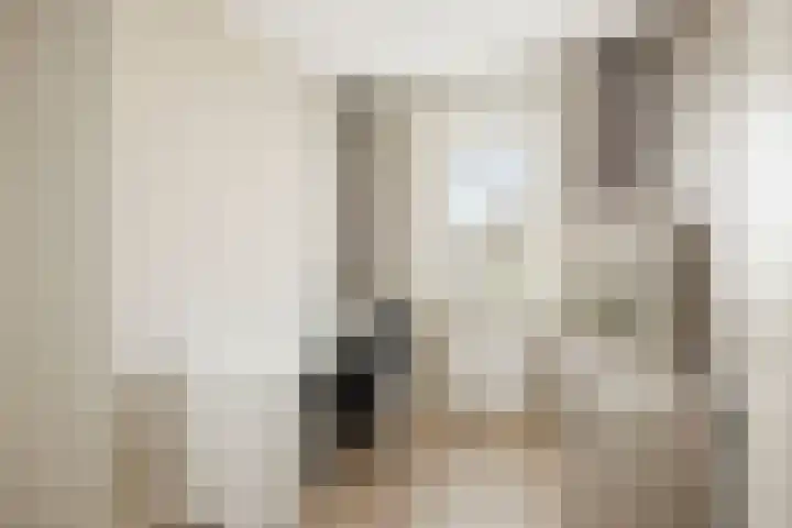 Sterhyacint 25 Twello thumbnail 21