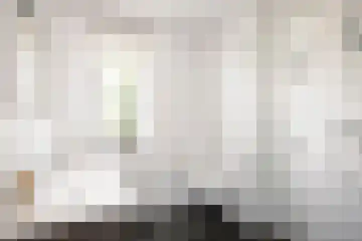 Sterhyacint 25 Twello thumbnail 22