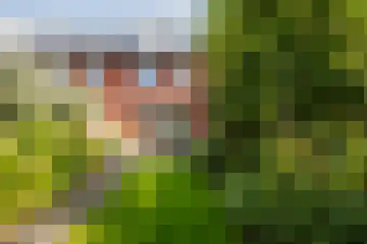 Sterhyacint 25 Twello thumbnail 28