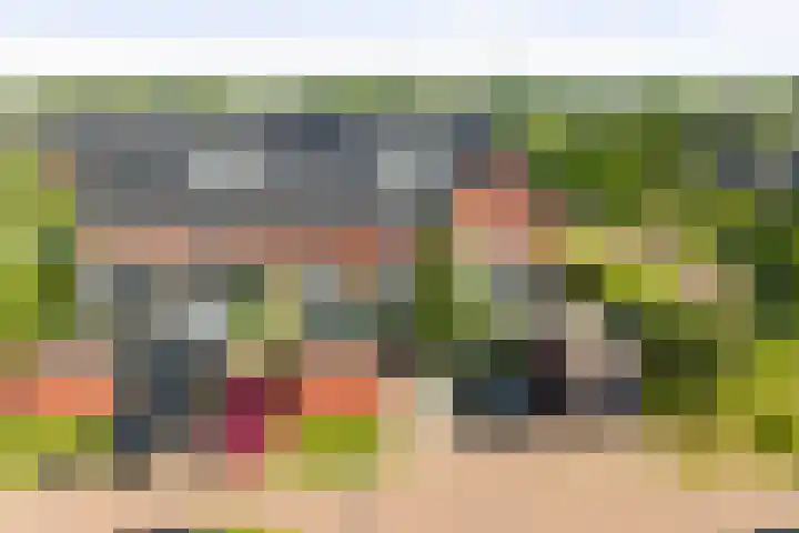 Sterhyacint 25 Twello thumbnail 32