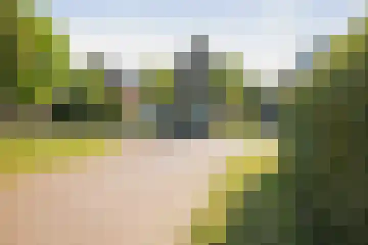 Sterhyacint 25 Twello thumbnail 35