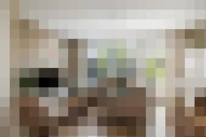 Sterhyacint 25 Twello thumbnail 5