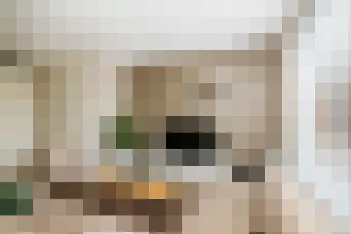 Sterhyacint 25 Twello thumbnail 7