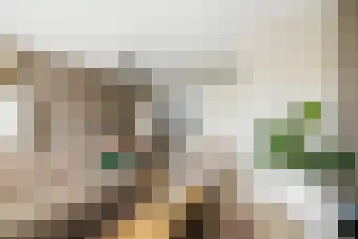 Sterhyacint 25 Twello thumbnail 8