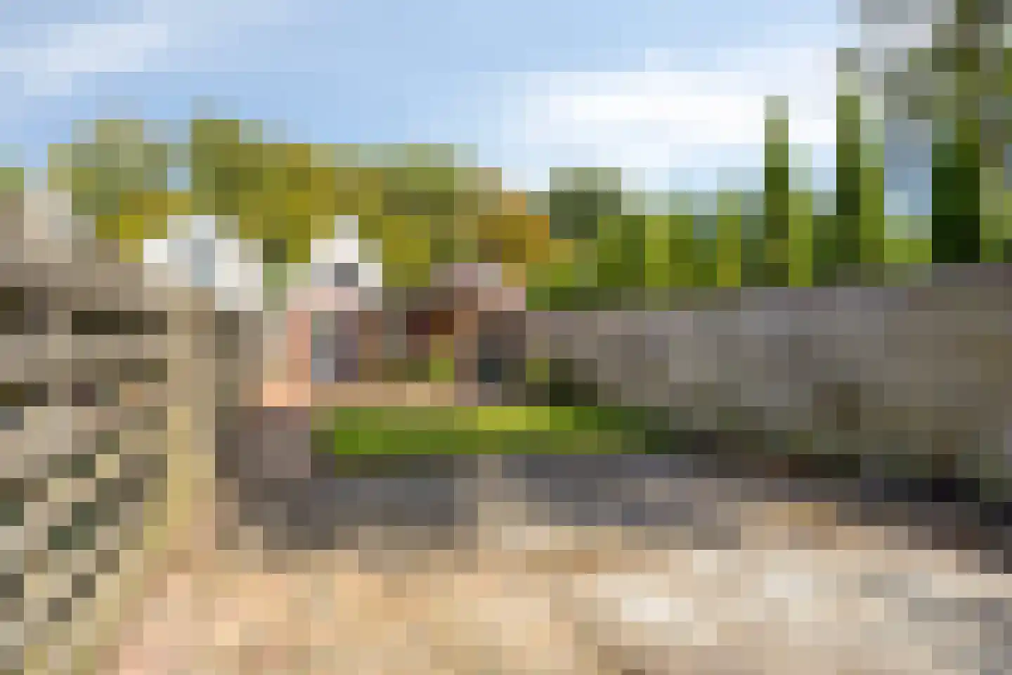 Steringa Kuiper-weg 22 Winschoten foto 3