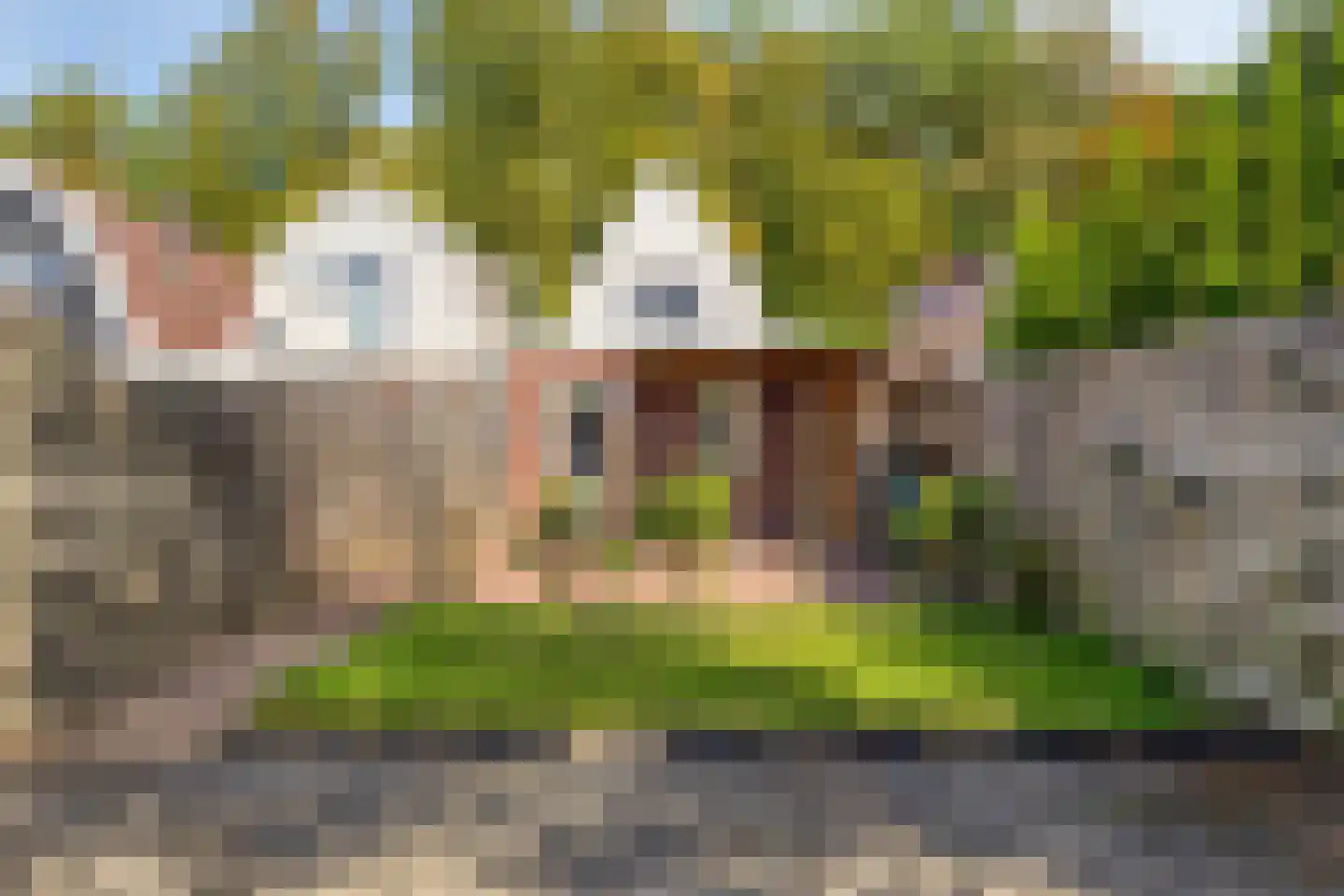 Steringa Kuiper-weg 22 Winschoten thumbnail 36