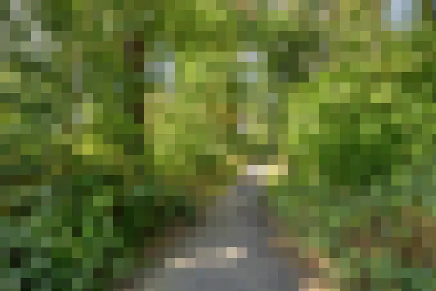 Steringa Kuiper-weg 22 Winschoten thumbnail 38