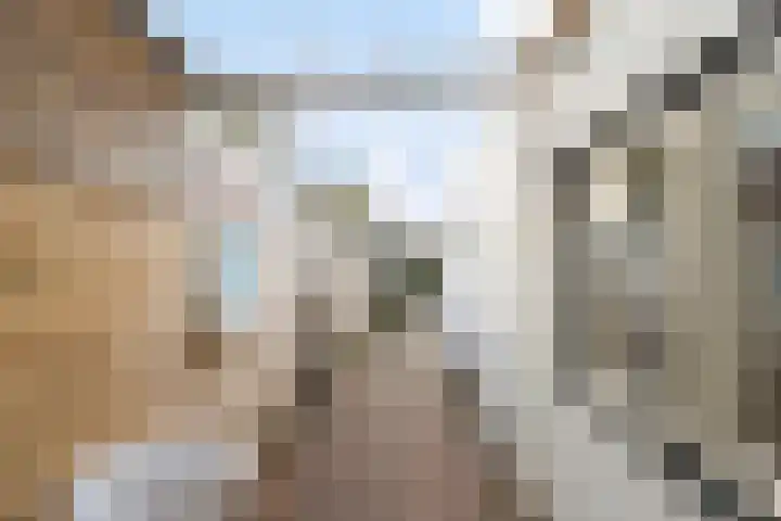 Steringa Kuiper-weg 23 Winschoten thumbnail 16
