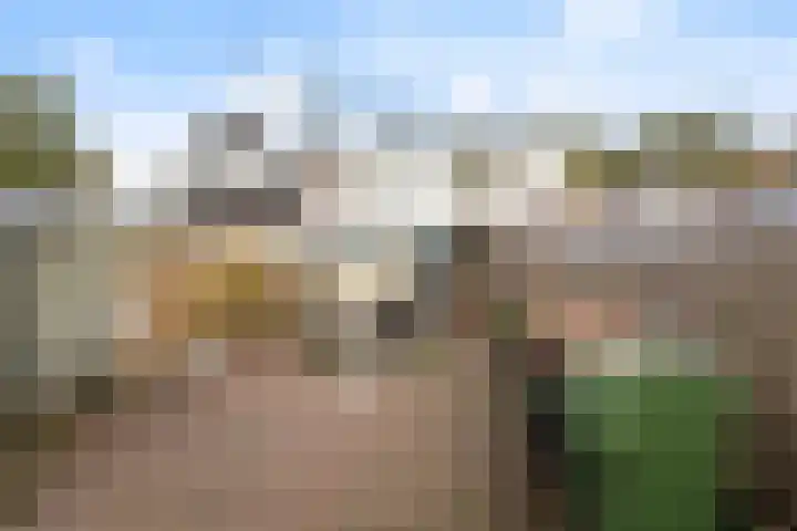 Steringa Kuiper-weg 23 Winschoten thumbnail 18