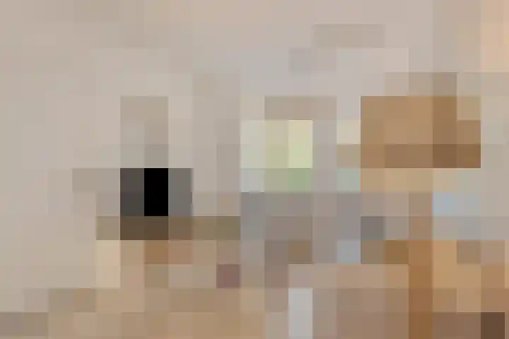 Steringa Kuiper-weg 23 Winschoten thumbnail 4