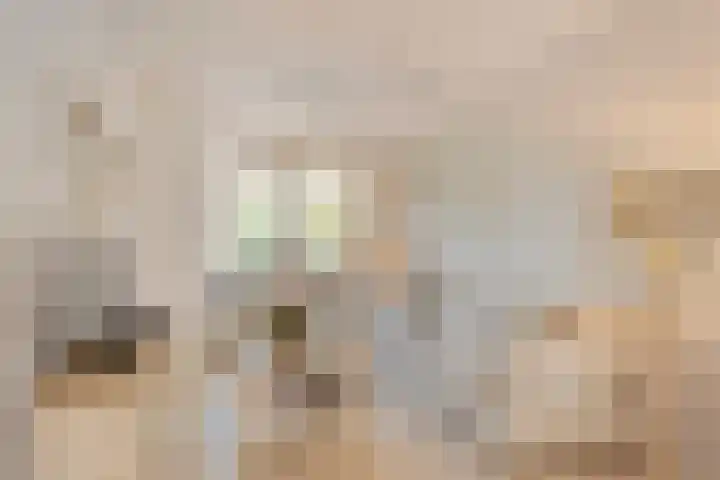 Steringa Kuiper-weg 23 Winschoten thumbnail 7