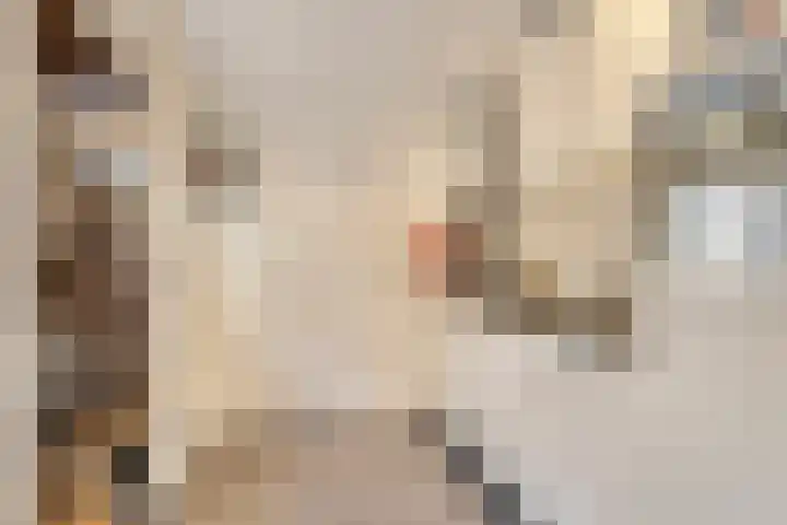 Steringa Kuiper-weg 23 Winschoten thumbnail 8