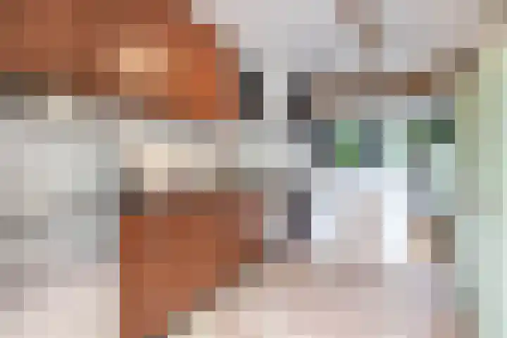 Steringa Kuiper-weg 3 Winschoten thumbnail 19
