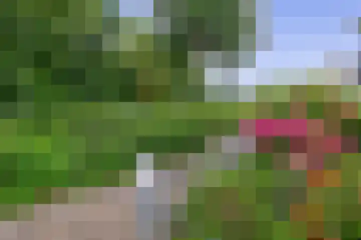 Steringa Kuiper-weg 3 Winschoten thumbnail 35