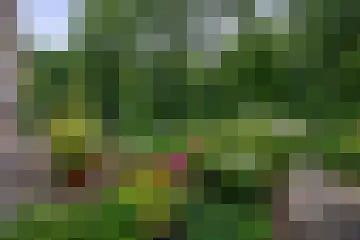 Steringa Kuiper-weg 3 Winschoten thumbnail 4