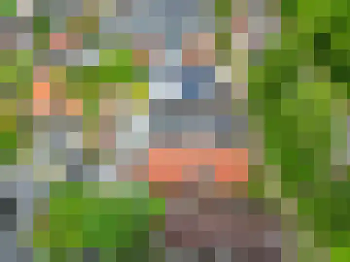 Steringa Kuiper-weg 3 Winschoten thumbnail 40