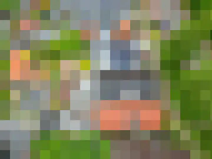 Steringa Kuiper-weg 3 Winschoten thumbnail 42