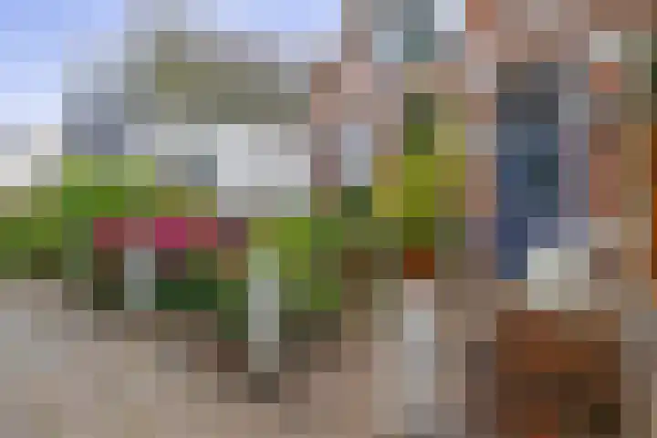 Steringa Kuiper-weg 3 Winschoten thumbnail 8