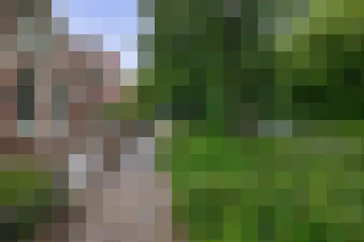 Steringa Kuiper-weg 3 Winschoten thumbnail 9