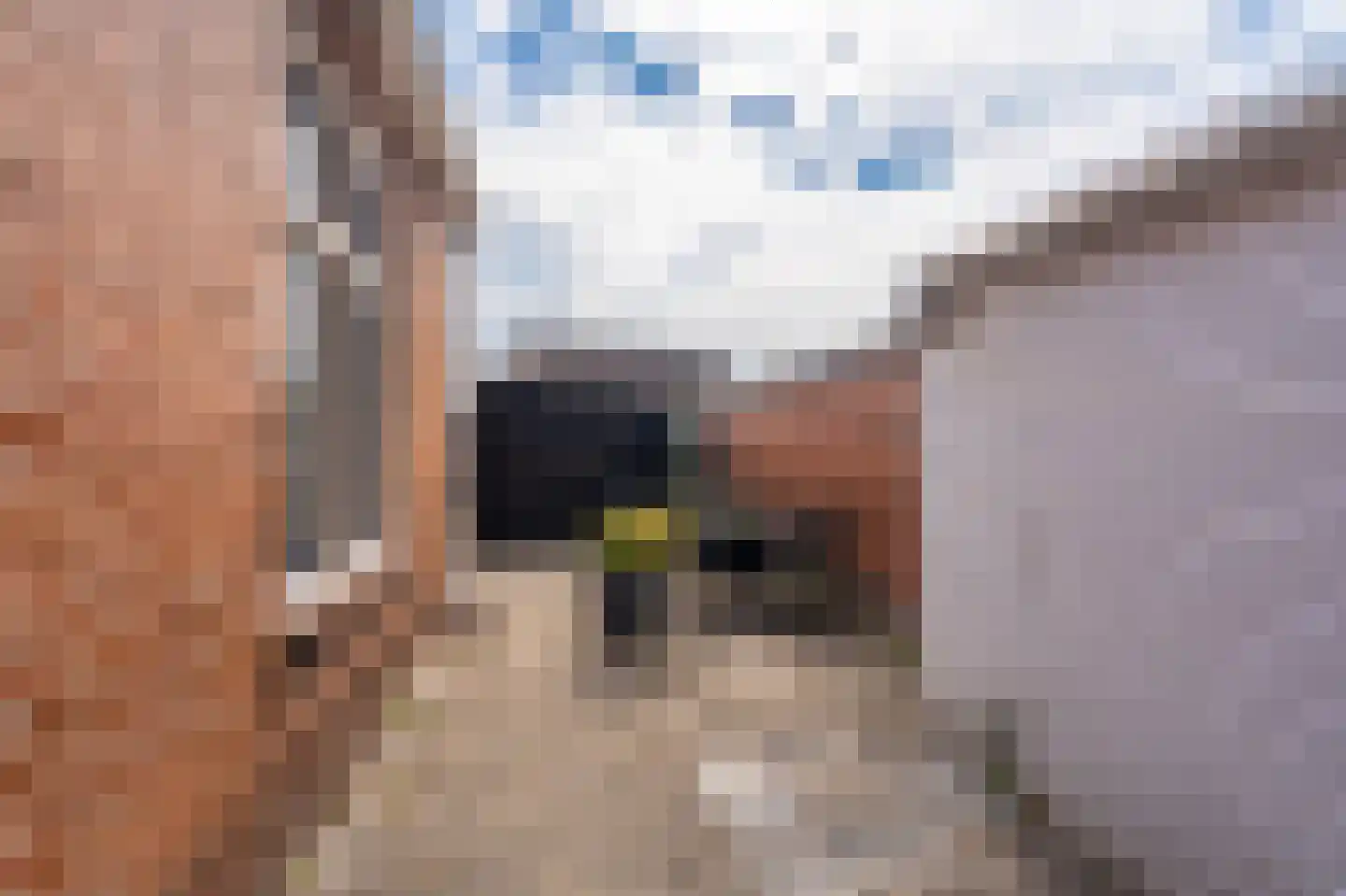 Steringa Kuiper-weg 38 Winschoten thumbnail 40