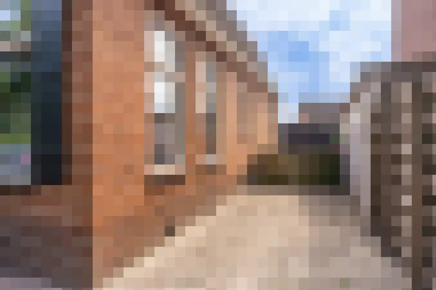 Steringa Kuiper-weg 38 Winschoten thumbnail 42