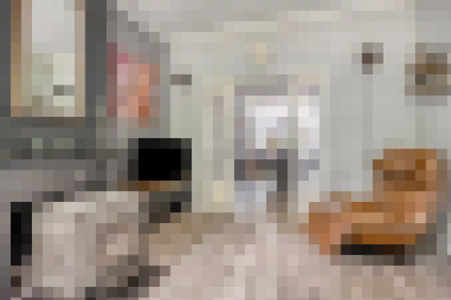 Steringa Kuiper-weg 5 Winschoten thumbnail 10