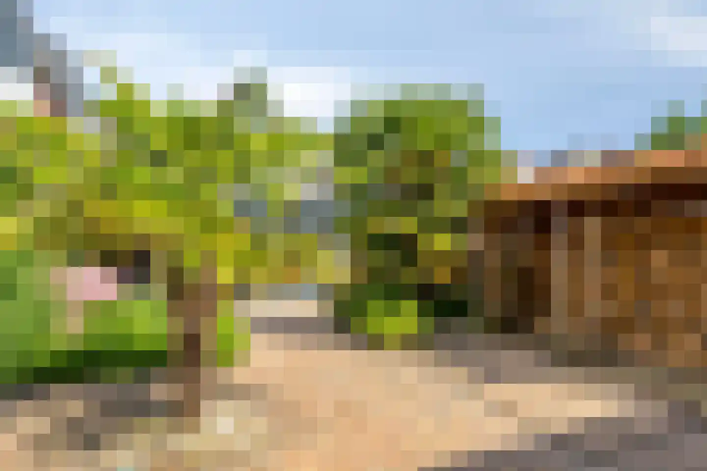 Steringa Kuiper-weg 5 Winschoten thumbnail 43