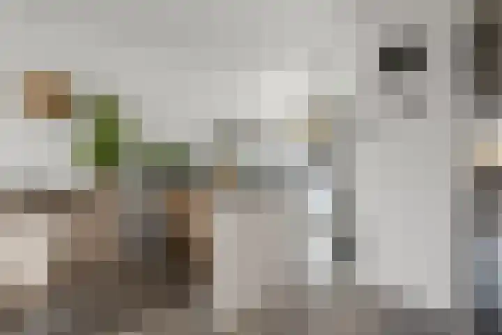 Sterkenburg 125 Alphen aan den Rijn thumbnail 12
