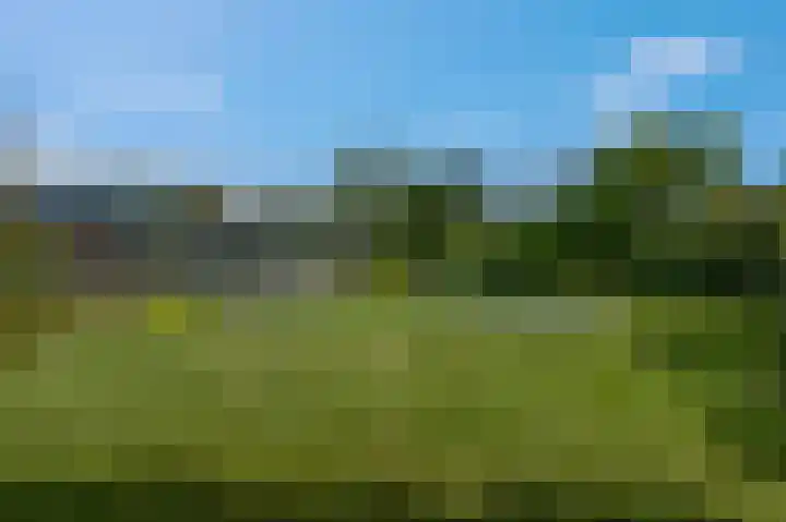Sterkenburg 13 Veenendaal thumbnail 4