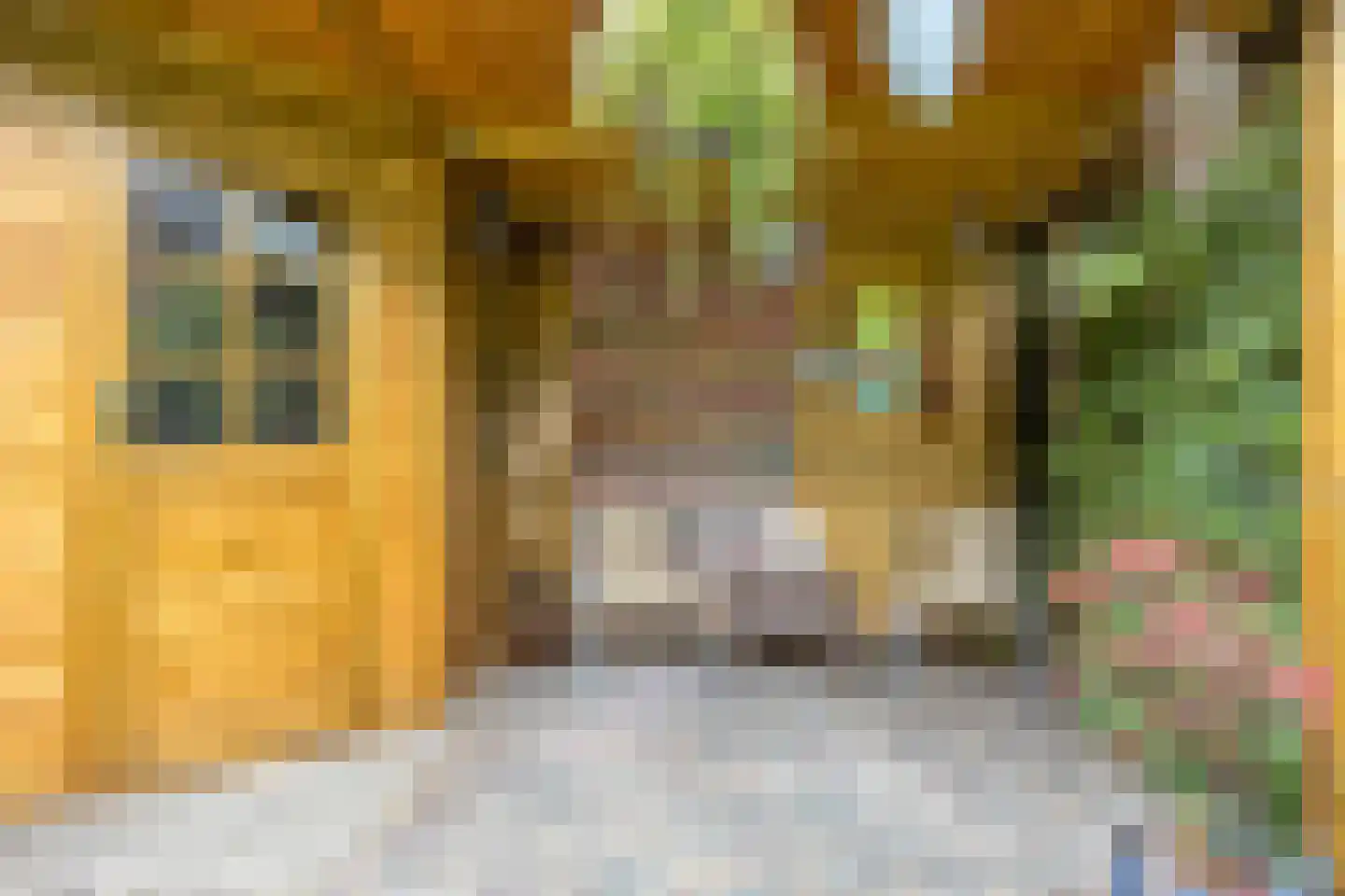 Sterkenburg 14 Heemskerk thumbnail 27