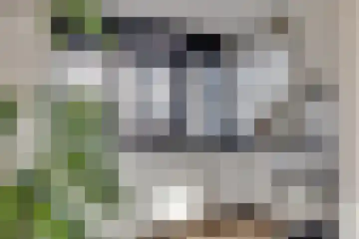 Sterkenburg 15 Leusden thumbnail 11