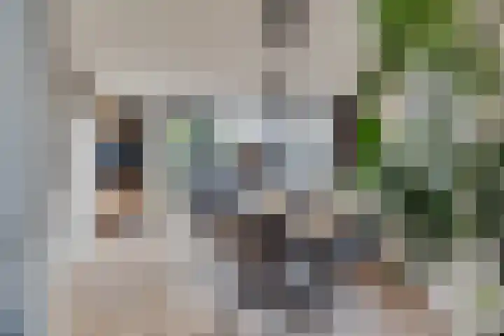 Sterkenburg 15 Leusden thumbnail 13