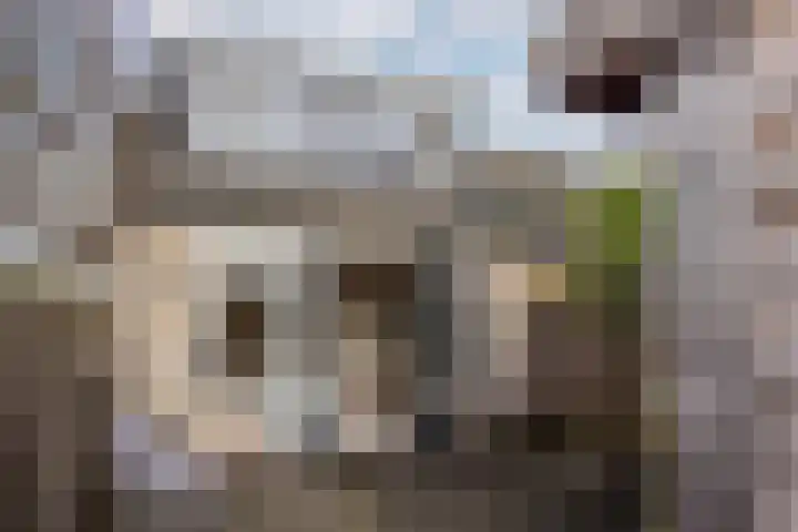 Sterkenburg 15 Leusden thumbnail 27
