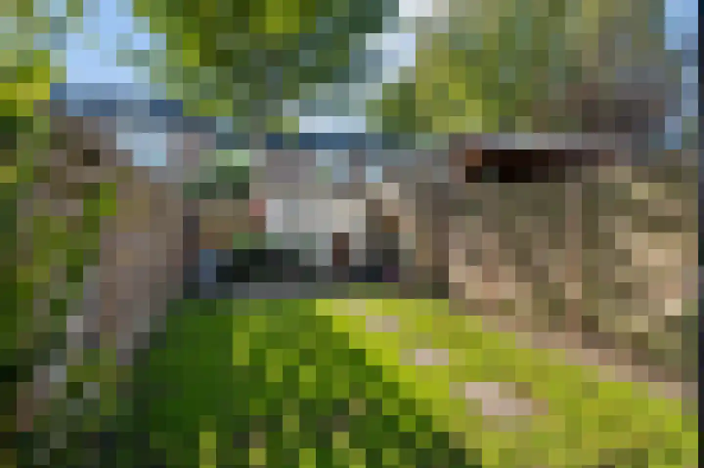 Sterkenburg 160 Ede thumbnail 32