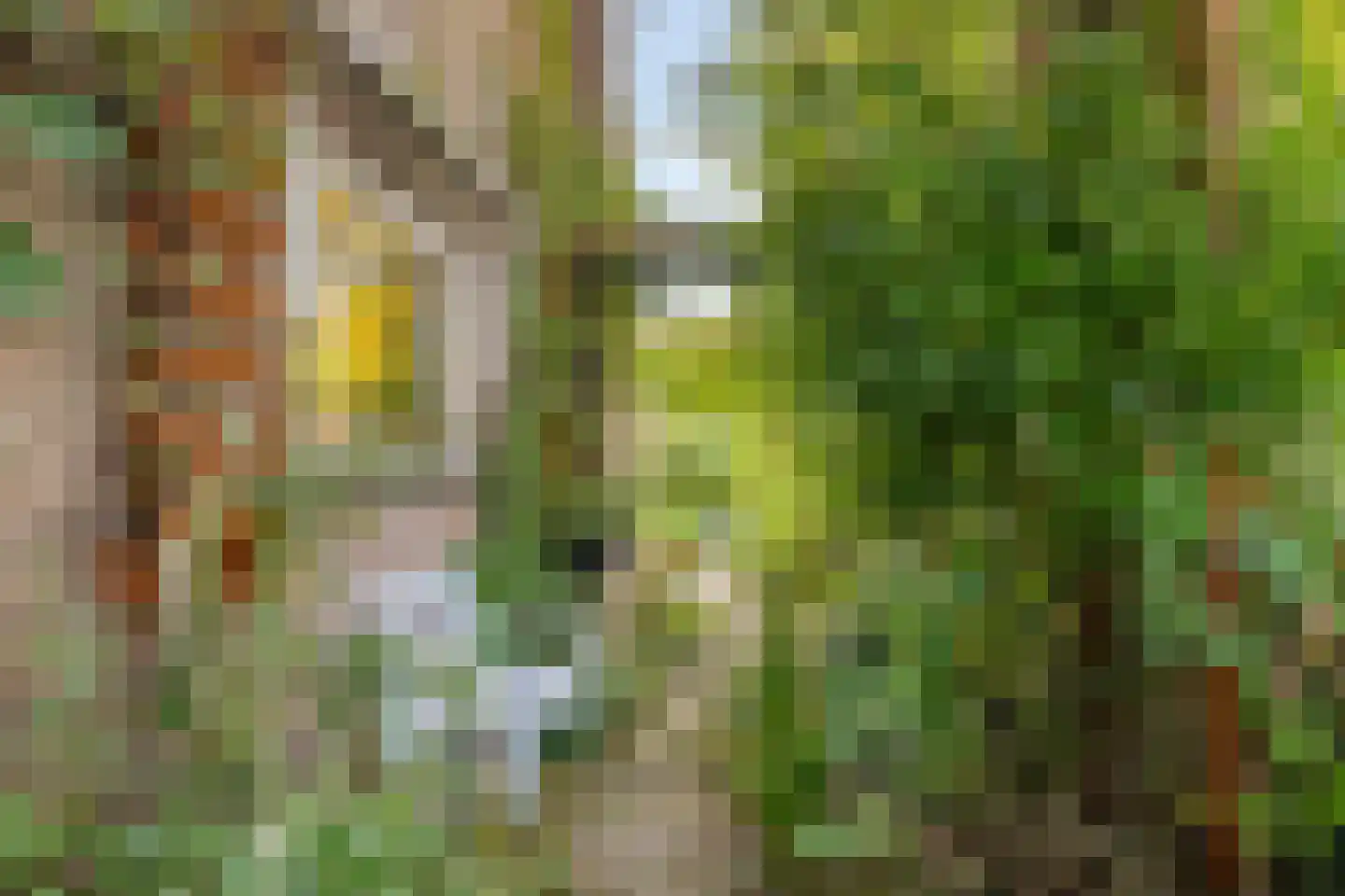 Sterkenburg 180 Ede thumbnail 33