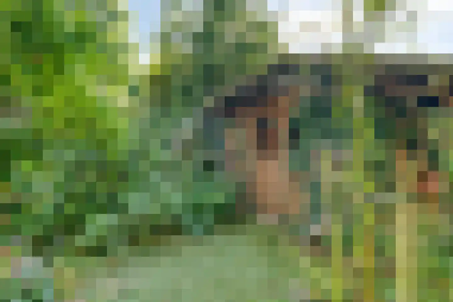 Sterkenburg 180 Ede thumbnail 39