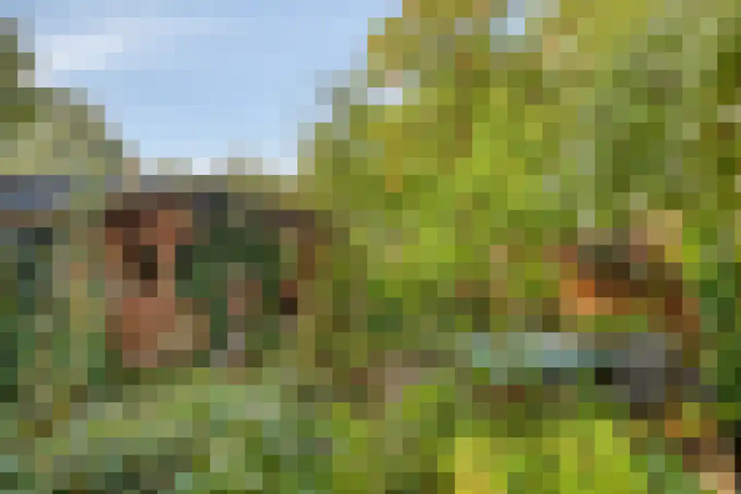 Sterkenburg 180 Ede thumbnail 40