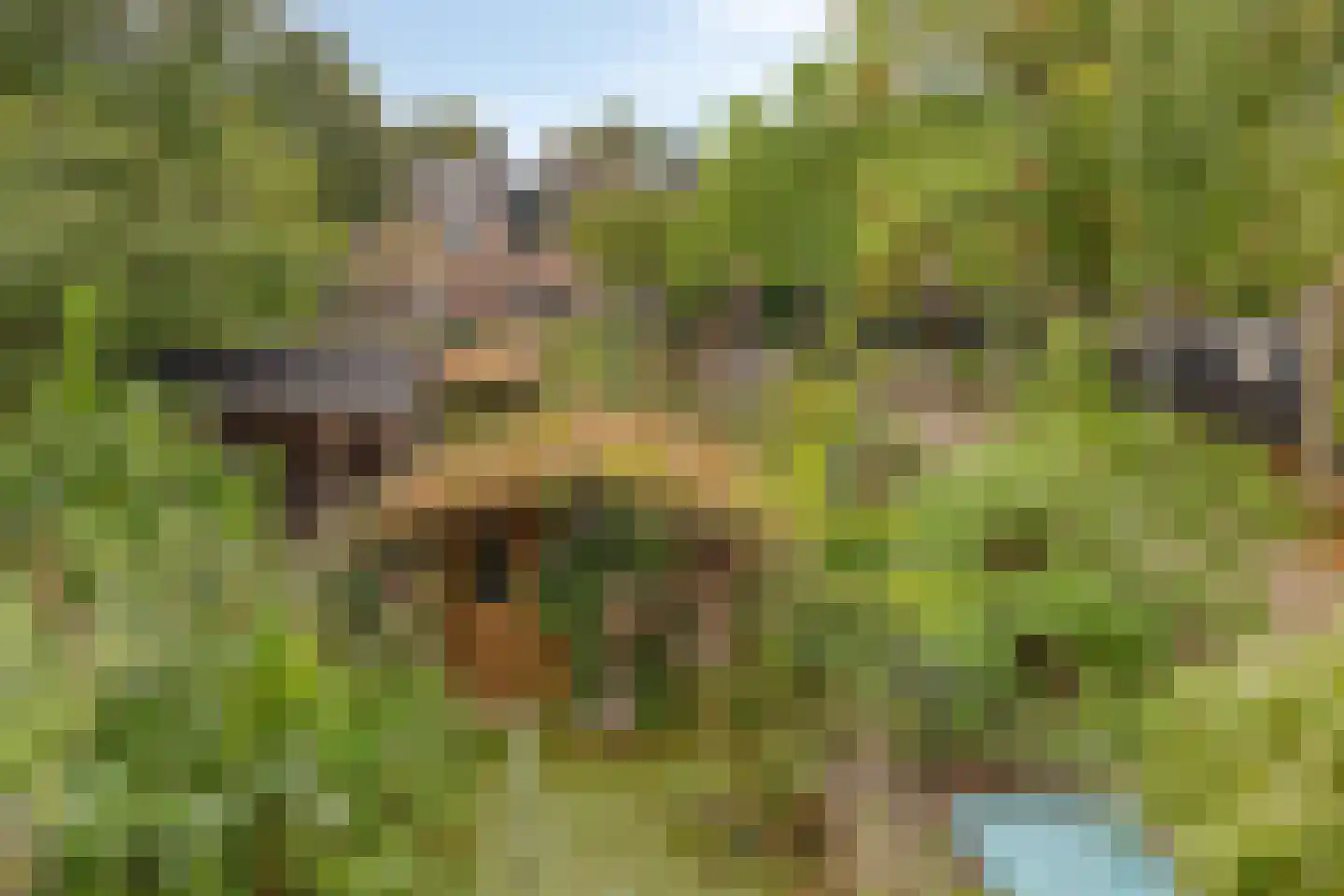 Sterkenburg 180 Ede thumbnail 41