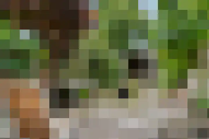 Sterkenburg 182 Ede thumbnail 26